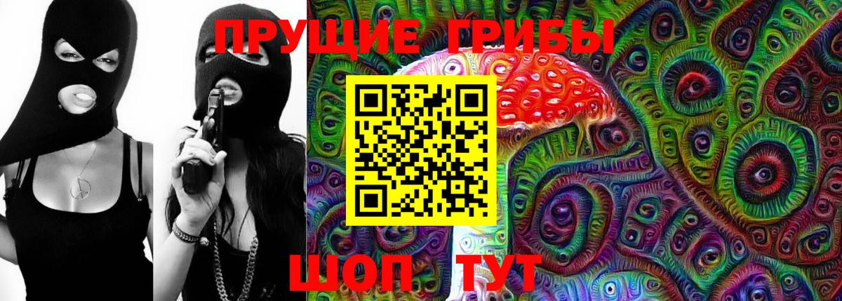 Галлюциногенные грибы Psilocybine cubensis Миасс
