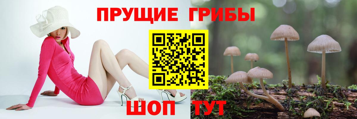 Миасс  Галлюциногенные грибы Psilocybine cubensis  Галлюциногенные грибы GOLDEN TEACHER  наркотики  Вход с VPN 